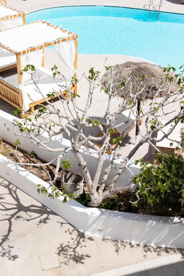 Hotel Casa Vitae Kamari (Santorini)